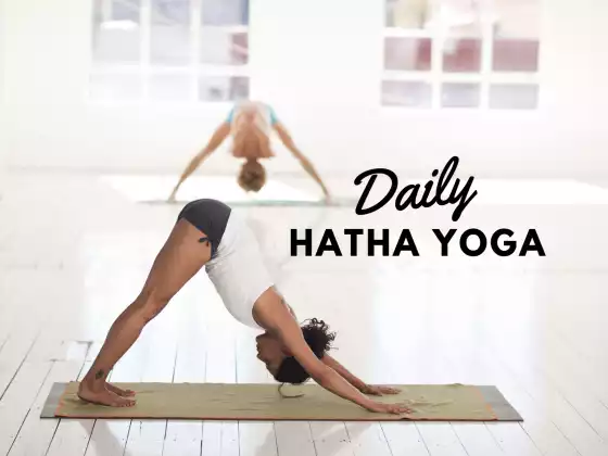 Daily Hatha Yoga